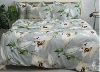 Постельное белье сатин Premium (Турция) TAG - PT-015 (Турция), полуторный